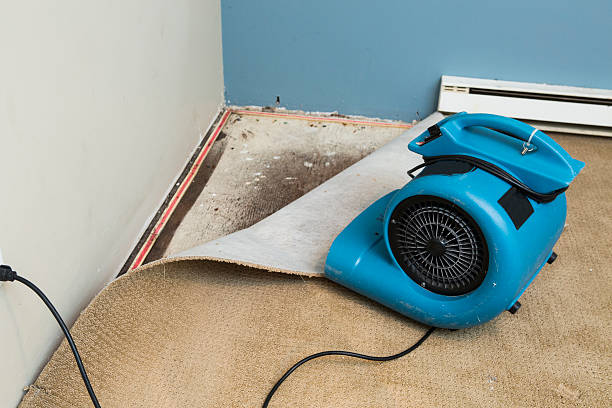 Best 24-hour water damage restoration  in Richville, OH